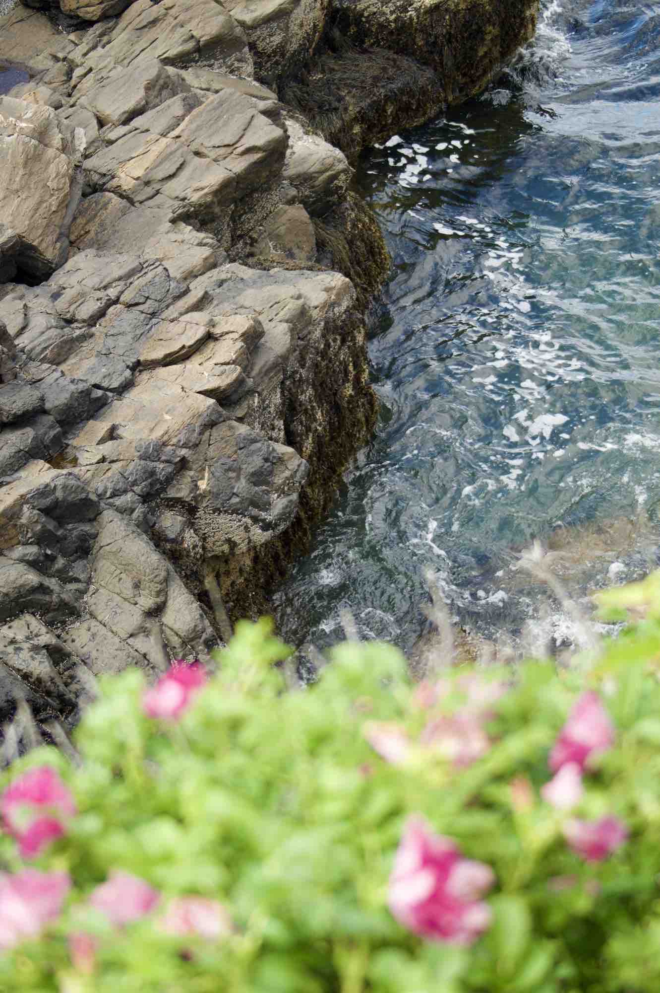 Coastal landscape (second view)